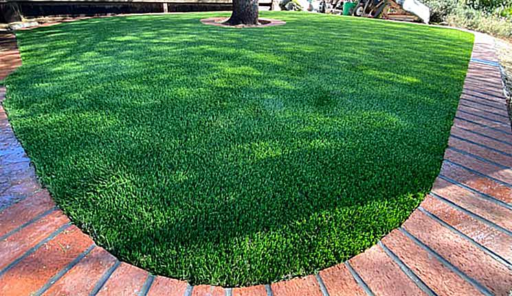 We Now Offer Financing & Lanscape Installation!
